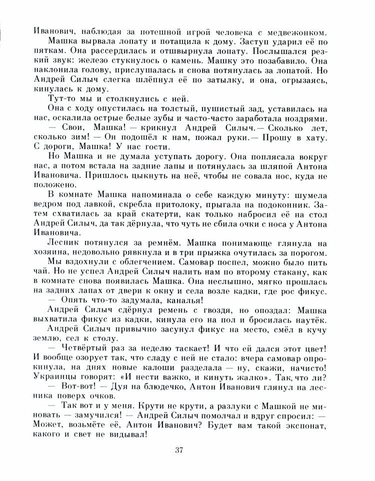 Рыжик - _40.jpg