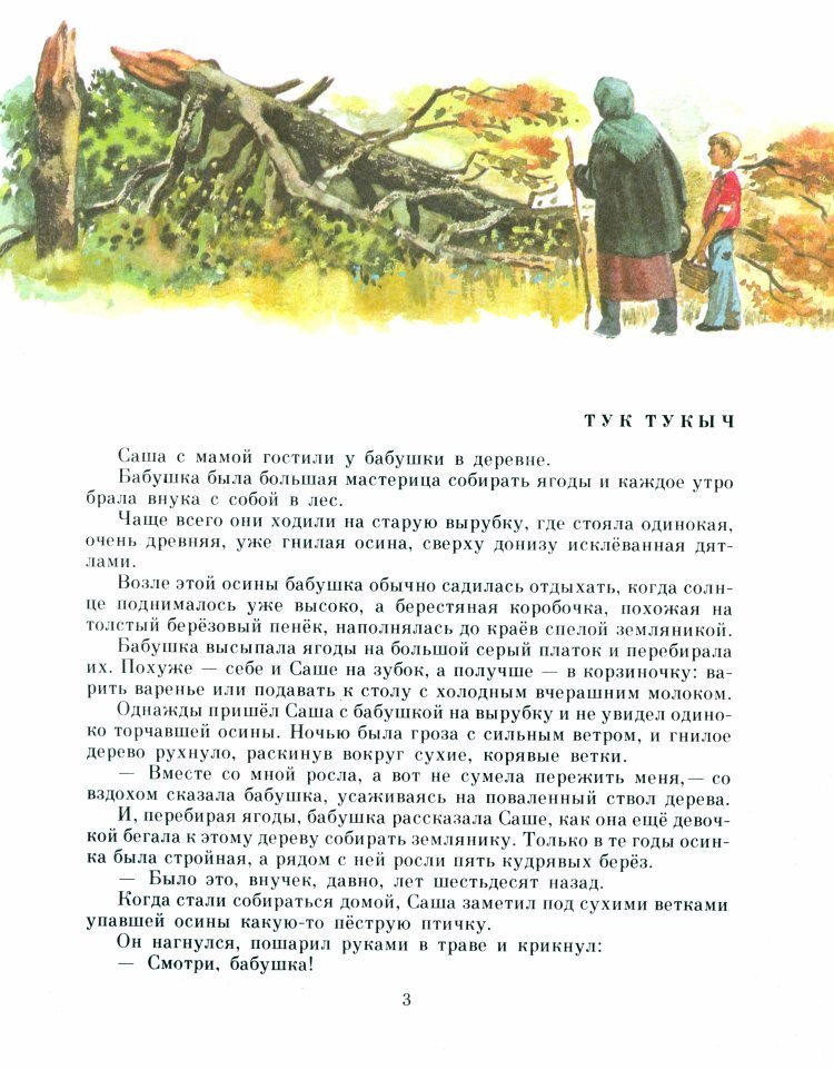 Рыжик - _6.jpg