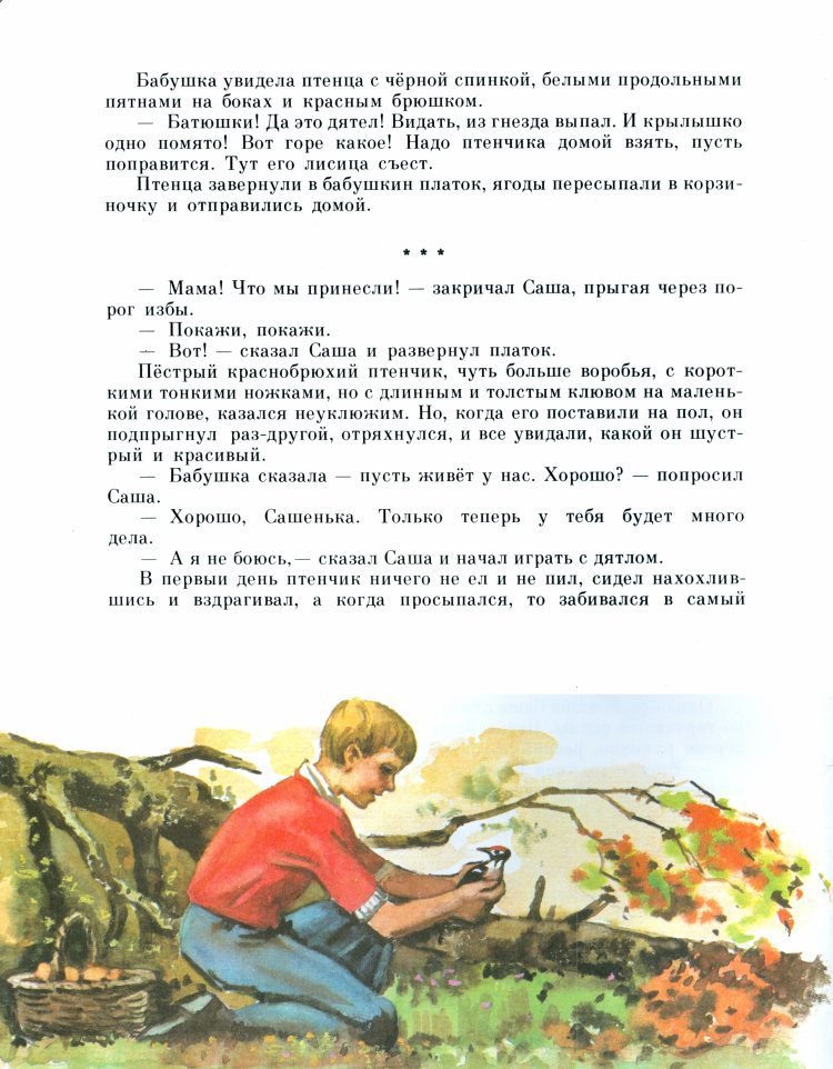 Рыжик - _7.jpg