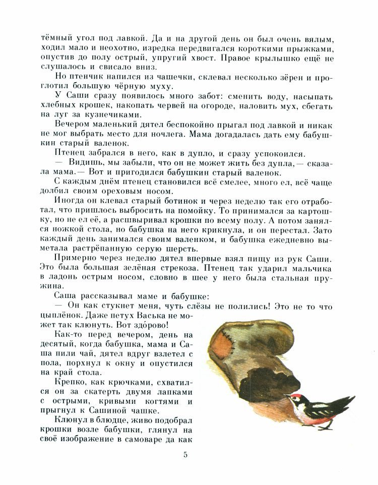 Рыжик - _8.jpg