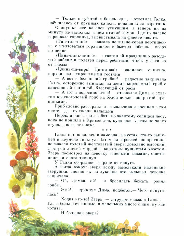 Рыжик - _13.jpg