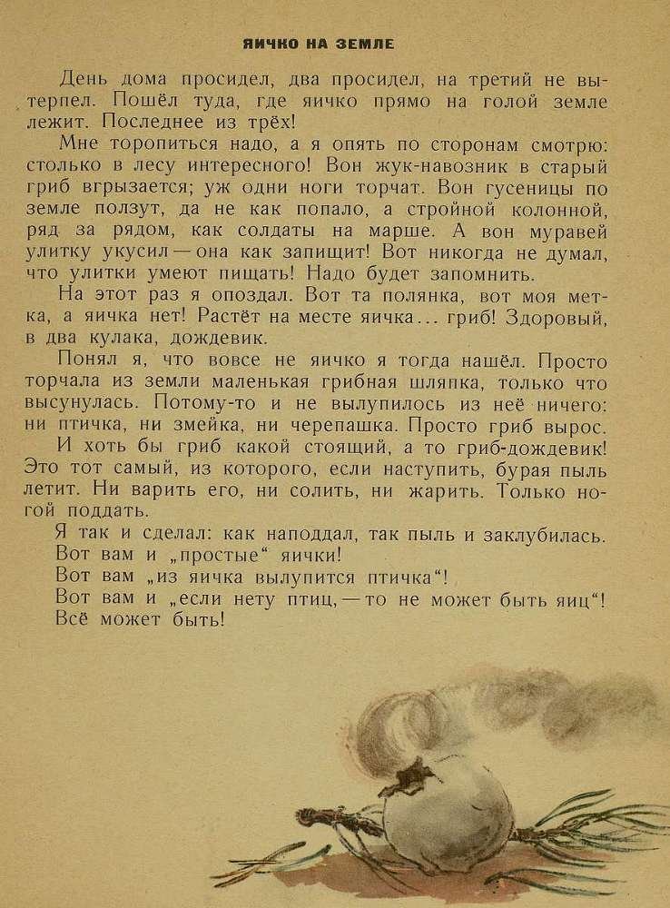 Тук - тук - _10.jpg