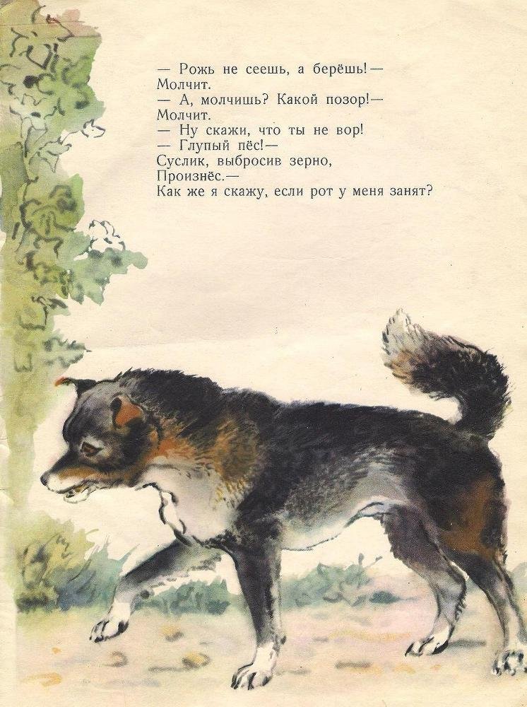 Лето в разгаре - _15.jpg