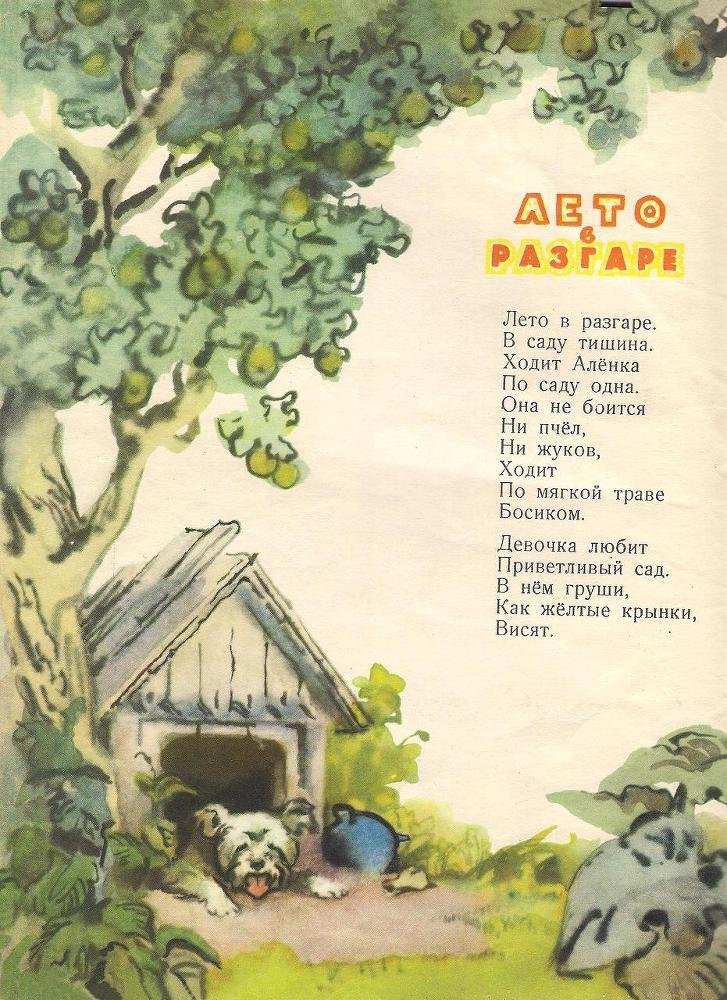 Лето в разгаре - _6.jpg