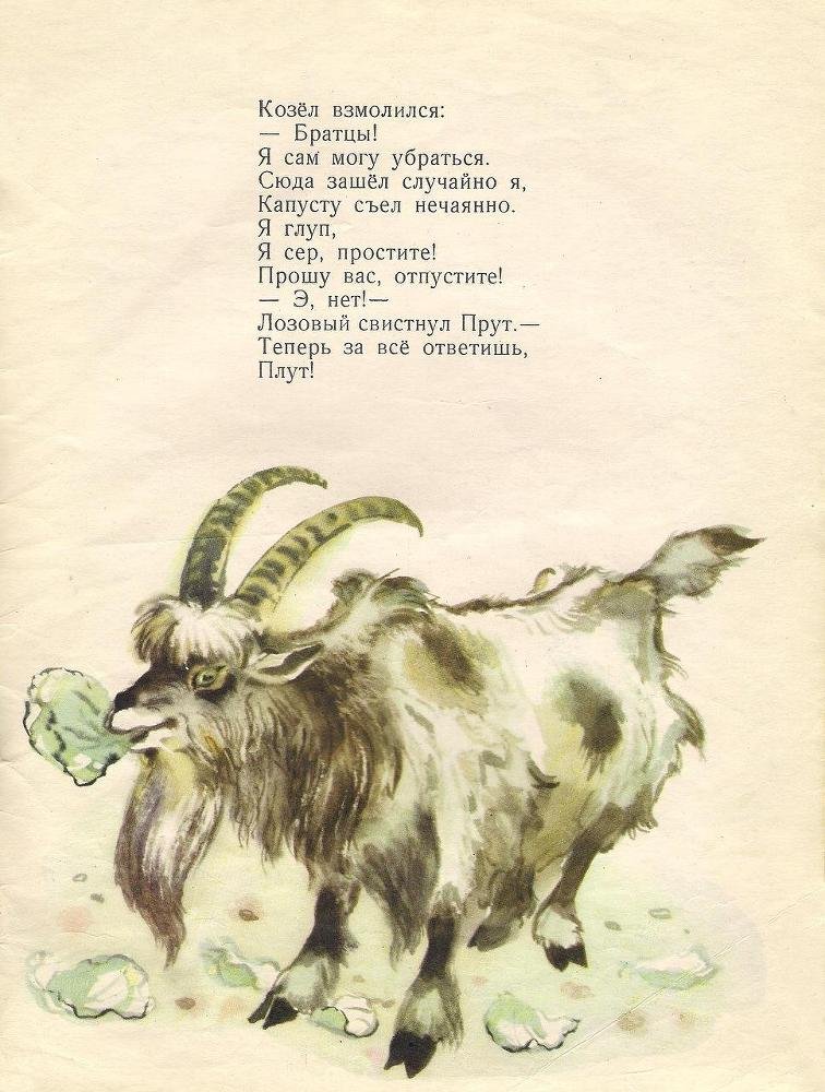 Лето в разгаре - _19.jpg