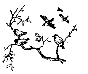 Пленники Барсова ущелья (илл. А. Лурье) 1956г. - pic_22.png