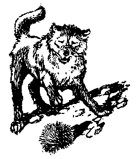 Пленники Барсова ущелья (илл. А. Лурье) 1956г. - pic_33.png