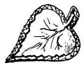 Сто затей двух друзей. Приятели-изобрететели - _30.jpg