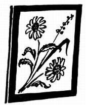 Сто затей двух друзей. Приятели-изобрететели - _31.jpg