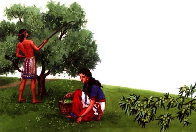 Древний Крит - i_005.jpg