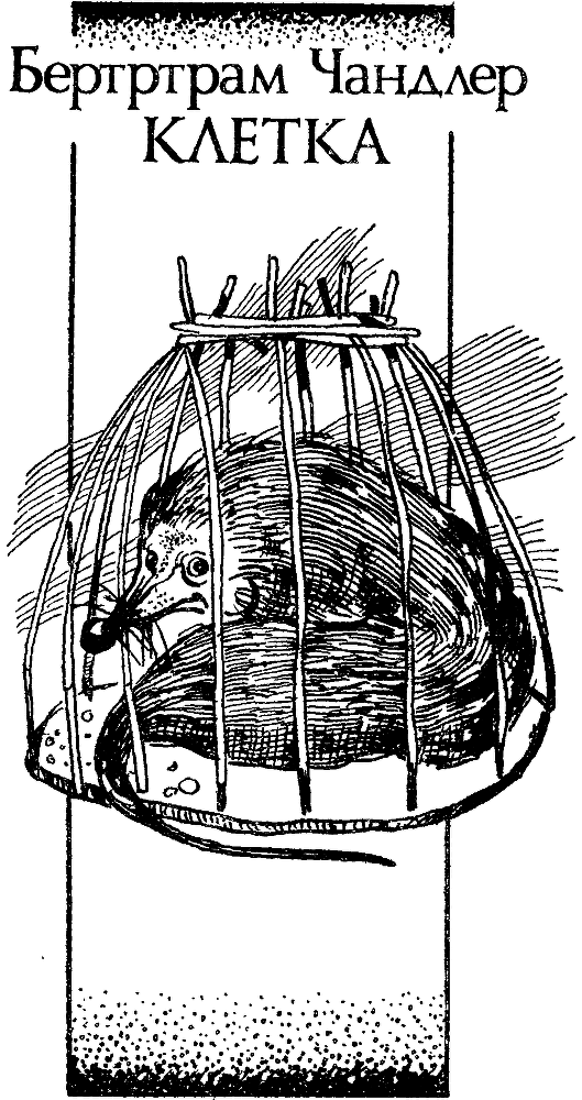 Вершина - i_008.png