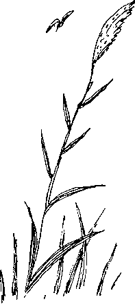 Малыш и река - i_052.png