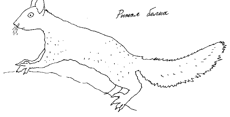 Малыш и река - i_097.png