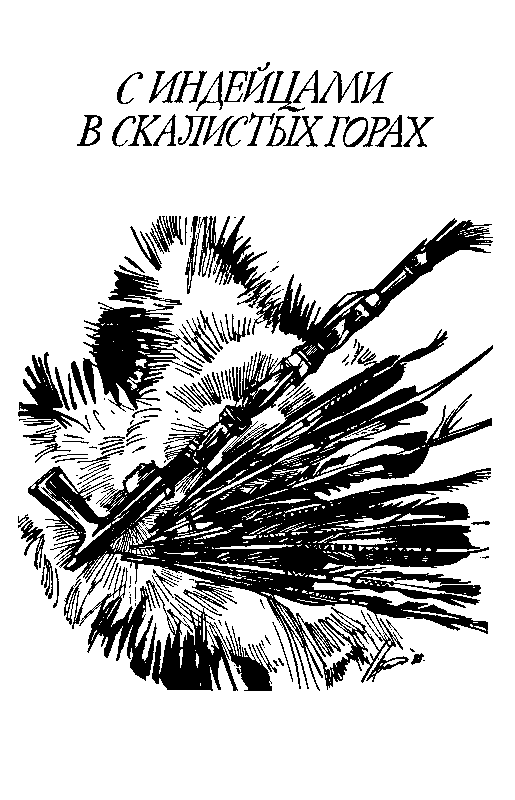 Ошибка Одинокого Бизона (илл. А. Вальдмана) - pic_4.png