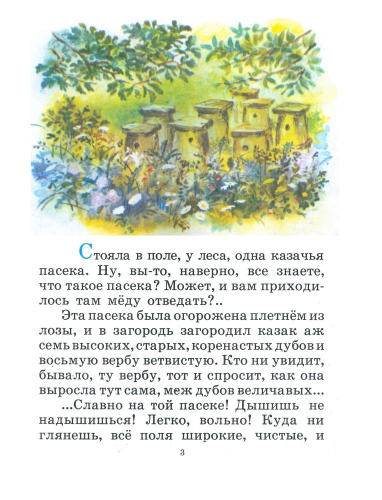 Медведь - _4.jpg
