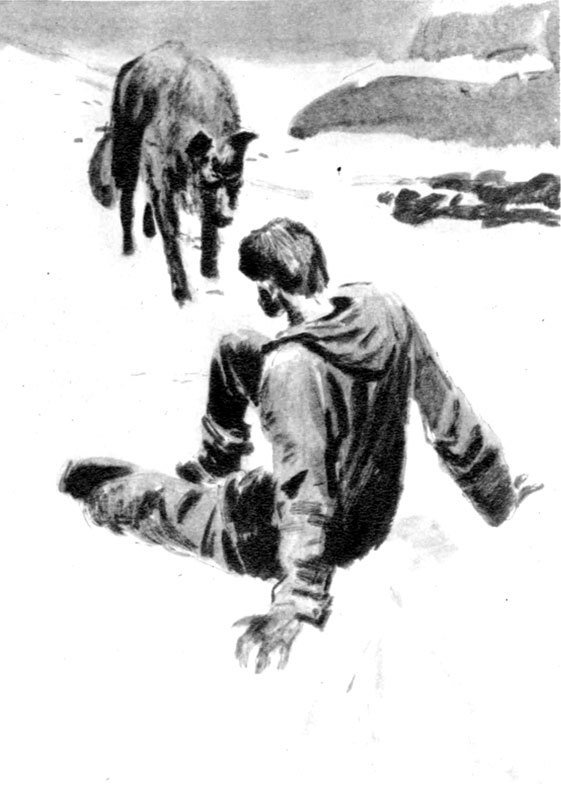 Собрание сочинений в 14 томах. Том 5 - image04.jpg