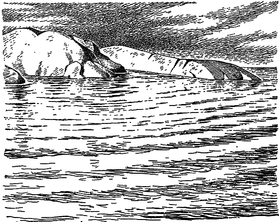 Жизнь моря - i_022.png