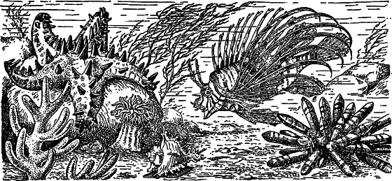 Жизнь моря - i_039.png