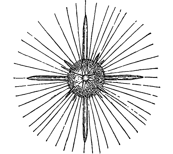 Жизнь моря - i_041.png