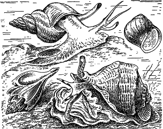 Жизнь моря - i_051.png