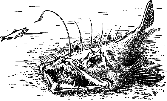 Жизнь моря - i_063.png