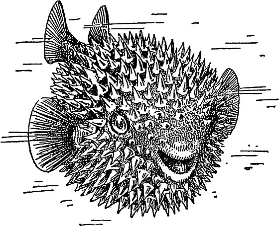 Жизнь моря - i_068.png