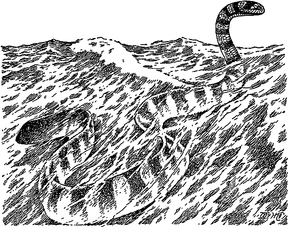 Жизнь моря - i_071.png