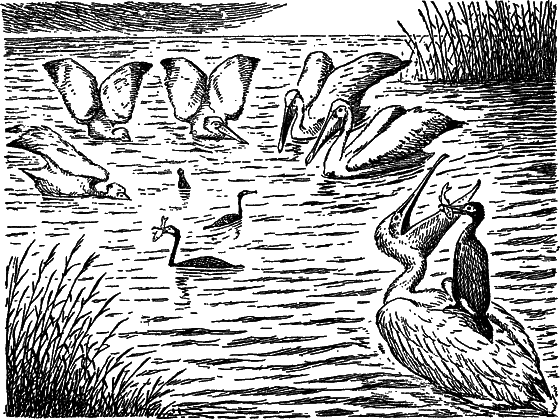 Жизнь моря - i_074.png