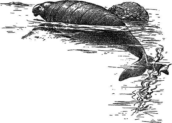 Жизнь моря - i_081.png