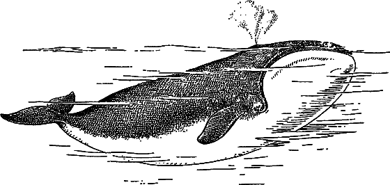 Жизнь моря - i_084.png