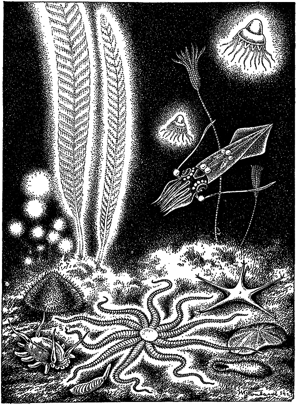 Жизнь моря - i_097.png