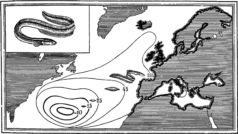 Жизнь моря - i_102.png