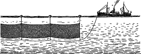 Жизнь моря - i_113.png