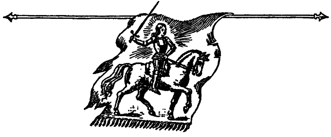 Тайны средневековых рыцарей - i_033.png