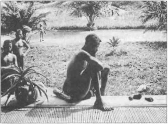 Утешение историей - i_058.jpg