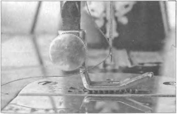 Утешение историей - i_166.jpg