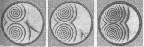 Паутина жизни. Новое научное понимание живых систем - doc2fb_image_02000005.jpg