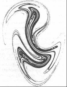 Паутина жизни. Новое научное понимание живых систем - doc2fb_image_02000010.jpg