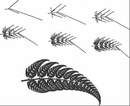 Паутина жизни. Новое научное понимание живых систем - doc2fb_image_02000013.jpg