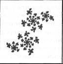 Паутина жизни. Новое научное понимание живых систем - doc2fb_image_02000020.jpg