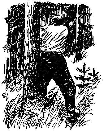 Над Тиссой (илл. Б. Козловского) - pic_9.png