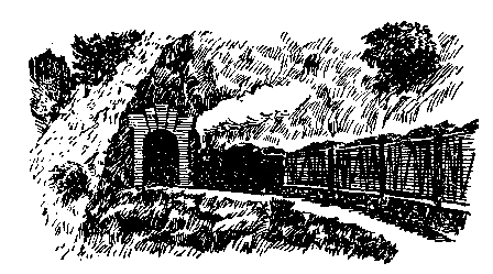 Над Тиссой (илл. Б. Козловского) - pic_33.png