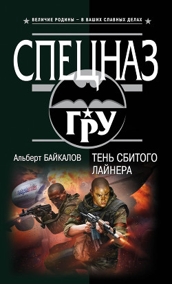 Книга Тень сбитого лайнера