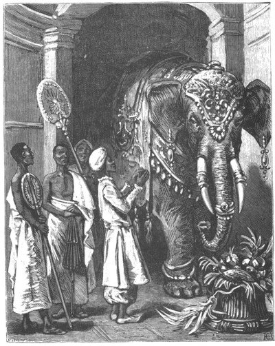 Приключения парижанина в стране львов, в стране тигров и в стране бизонов - _1001.jpg