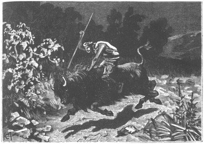 Приключения парижанина в стране львов, в стране тигров и в стране бизонов - _1049.jpg