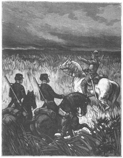 Приключения парижанина в стране львов, в стране тигров и в стране бизонов - _1059.jpg