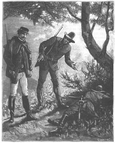 Приключения парижанина в стране львов, в стране тигров и в стране бизонов - _1081.jpg