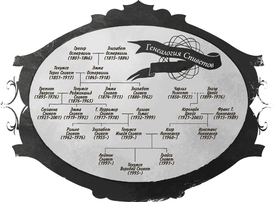 Невероятное путешествие мистера Спивета - i_028.png