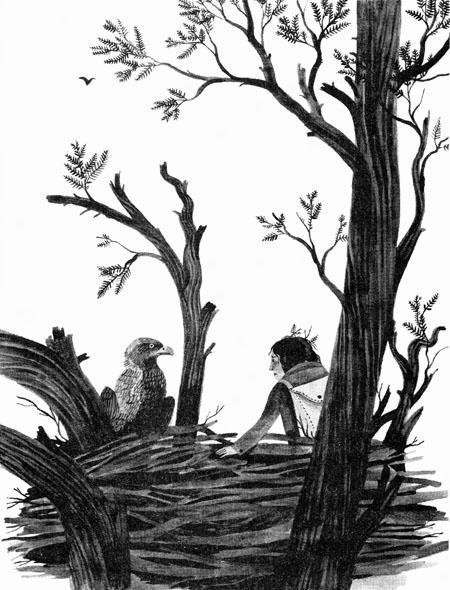 Империя Дикого леса - i_015.jpg