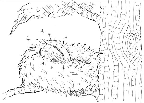 Друг из Облачного леса - _072.jpg